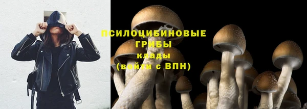 круглые Козельск