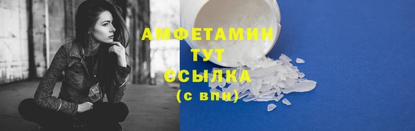 молекула духа Козловка