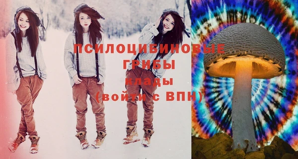 молекула духа Козловка