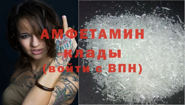 молекула духа Козловка