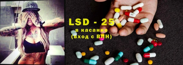 молекула духа Козловка