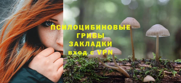 круглые Козельск