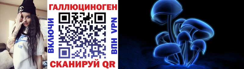 Купить  Томмот  Галлюциногенные грибы Psilocybine cubensis 